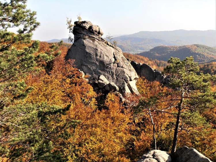 Поляницький регіональний ландшафтний парк